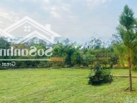 Cắt Lỗ 500 Triệu Lô Đất Sát Ga Của Tuyến Metro Số 5, Cách Đại Lộ Thăng Long 1Km Cạnh Xanh Villas