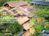 Bán Homestay Mộc Châu Sơn La - Mua Về Chỉ Việc Vận Hành, Khu Vực Giá Tăng Từng Ngày, Giá Bán 24.5 Tỷ