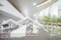 Cần Cho Thuê Mặt Bằng Cầu Giấy Khu Trung Tâm Sầm Uất Giá Rẻ Không Gian Rộng Rãi Thiết Kế Hiện Đại