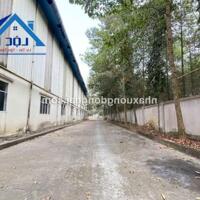 Cho thuê kho xưởng 2800m2 KCN Tam Phước Biên Hòa Đồng Nai