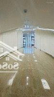 Bán Toà Buillding Xây Mới 186M, 8Tầng, Mt15M, 150 Tỷ - Trần Thái Tông, Cầu Giấy, Lô Góc 3 Thoáng.