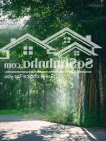 Shophouse Villa 12X20 Mặt Tiền 30M Dành Cho Anh Chị Tài Chính Mạnh Và Có Gu, Giá Tốt Eco Retreat