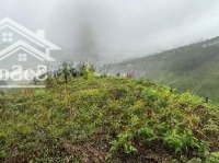 Cơ Hội Vàng Giá Tốt Đầu Tư! Chính Chủ Bán Lô Đất Đẹp Tại Xã Lát, Huyện Lạc Dương