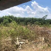 Cần Bán 9898m2 Đất Chính Chủ Tại Ấp 3, xã Phước Bình,  Huyện Long Thành, Đồng Nai, Giá Chỉ 20 tỷ.