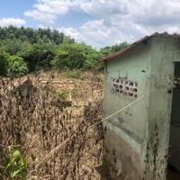 Cần Bán 9898m2 Đất Chính Chủ Tại Ấp 3, xã Phước Bình,  Huyện Long Thành, Đồng Nai, Giá Chỉ 20 tỷ.