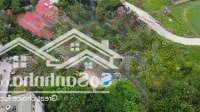 Lô Đất Kim Bài Thanh Oai Xuất Hiện Với Mức G.iá Gây Sốc Thời
