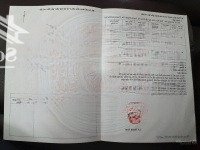 Lô Đất Kim Bài Thanh Oai Xuất Hiện Với Mức G.iá Gây Sốc Thời
