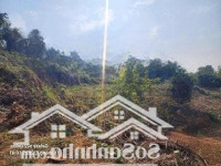 4000M/150M Thổ Cư View Cực Đẹp Tại Đồng Bèn, Đông Xuân Quốc Oai
-Diện Tích2279M Có 150M Ont. Sử D