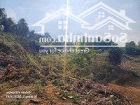 4000M/150M Thổ Cư View Cực Đẹp Tại Đồng Bèn, Đông Xuân Quốc Oai
-Diện Tích2279M Có 150M Ont. Sử D