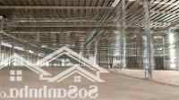 Bán Nhà Xưởng 24.500M2 Giá Chỉ 122 Tỷ - Kcn Nhơn Trạch - Đồng Nai 0937980190