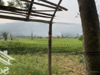 Bán Gấp Đất Ở Xã Hòa Bắc, 9 Tỷ, 3600M2, Sổ Đỏ Đầy Đủ