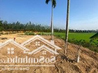 Bán Đất Tại Xã Hòa Liên, Hòa Vang, Đà Nẵng, 1 Tỷ, 207M2, Pháp Lý Đầy Đủ