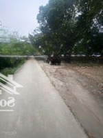 Siêu Phẩm View Sông Tại Nghĩa Trai - Tân Quang Sát Vách Vin Ocp3, View Sông Bắc Hưng Hải