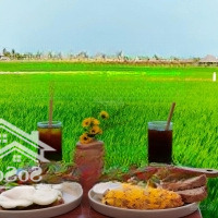 Cần Bán Villa Cực Chill 2Mặt Tiềnđường Bê Tông Trung Tâm An Mỹ
