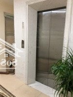 Cho Thuê Nhà Mặt Phố Khu Vực Kim Ngưu, Lò Đúc, Trần Khát Trân