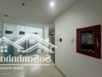 Khuôn Đất Hiếm Mặt Tiền Nhánh Phường Phạm Ngũ Lão, Quận 1; 14 X 33M ( 400M2); 2 Tầng, Giá Bán 245 Tỷ