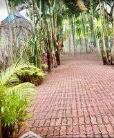 Bán Nhà Mặt Phố Nguyễn Trãi, Tp Long Khánh