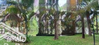 Bán Lô Biệt Thự Sinh Thái Giáng Hương Villa Nha Trang