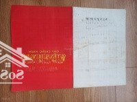 Chính Chủ Bán Đất Đấu Giá Lòng Khúc Tiền Yên. Lhe 0964340366