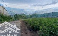 Bán Nhanh Lô Đất Tiềm Năng Tại Tóc Tiên, Đường Quy Hoạch 28M