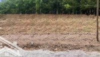 10X21.5M (100M2 Ont), Đường Trải Đá Mi Rộng 4.5M, Kdc Đông Đúc, Đủ Mọi Tiện Ích - 7.7 Tỷ