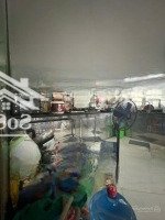 Chủ Cần Bán Gấp, Giảm 1 Tỷ. Nhà Mặt Phố Phúc Xá, 2 Mặt Thoáng, Ô Tô Tránh. Kinh Doanh