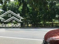 Bán Đất Mặt Tiền Ql55 Xã Bưng Riềng - Xuyên Mộc .Brvt 10X50M Đối Diện Trường Học