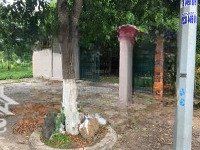 Bán Đất Mặt Tiền Ql55 Xã Bưng Riềng - Xuyên Mộc .Brvt 10X50M Đối Diện Trường Học