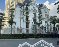 Chính Chủ Gửi Bán Căn Góc Biệt Thự Có Hầm Đơn Lập The Zei Vip Nhất Mỹ Đình, Giá Thoả Thuận