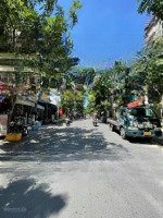 Bán Biệt Thự An Lộc Nguyễn Oanh, P.17, Gò Vấp. Giảm 1 Tỷ Còn 19 Tỷ Tl.
