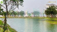 Bán Biệt Thự 4 Phòng Ngủ 3 Vệ Sinhtại Long Hưng, 7.8 Tỷ Vnd, 137M2