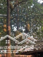 Bán Đất Thổ Cư Tại Xã Phú Xuân, Huyện Krong Năng