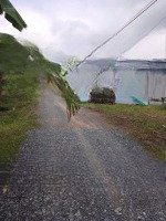 Bán Đất Thổ Cư 20X34M Đường Xe Tải Xây Dựng Ngay Giá Rẻ 850 Triệu