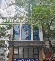 Cho Thuê Tòa Nhà Nguyễn Chánh View Vườn Hoa Để Xe Thoải Mái 100M X 6T Pccc Thông Sàn Thang Máy 89 Triệu