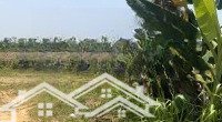 Bán Gấp 2 Hecta Đất Xã Phú Lý, Huyện Vĩnh Cửu, Đồng Nai Giá Rẻ, Sổ Hồng Riêng