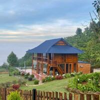 Phân khu sống chậm biệt lập, tọa lạc Lộc Thành - Bảo Lâm, diện tích 1500m2, cư dân trí thức hiện hữu, ưu đãi tặng nhà gỗ 1 căn duy nhất