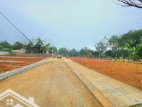 Bán Đất Thổ Cư Triệu Sơn Giá Rẻ Từ 2Xx