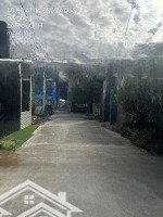 Bán Đất Ngộp Long An 198M2 Full Thổ, Hẻm Bê Tông