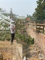 Đất Giá Rẻ Cho Quý Anh Chị Tại Xuân Đồng,Tân Minh