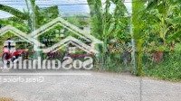 Bán Đất Tại Đường Tân Đông Cầu Bà Trà, Xã Long Hưng, Gò Công, Tiền Giang, 198M2 (100M2 Thổ)