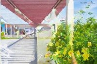 Bán Đất Nền An Điền Phát - Trung Tâm La Hà, Tư Nghĩa, Quảng Ngãi - Sổ Đỏ Từng Lô, Giá Chỉ Từ 1,X Tỷ