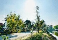 Bán Lô 150M2 Full Thổ Cư, Mặt Tiền Đường Nhựa 12M, Cách Bệnh Viện Hạnh Phúc 3Km Sổ Sẵn