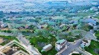 Thanh Toán Trước 600 Triệu, Công Chứng Sang Tên Nền 114M2 Kdc Quy Hoạch Chuẩn 1/500