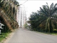Bán Gấp Nền Đất Căn Góc Đất Khu 13E Intresco,Diện Tích7,5X20M. Đối Diện Cv, Giá Bán: 65 Triệu/M2. 0902589310