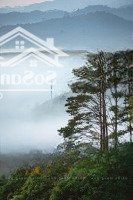 Bán Đất Tại Biệt Thự Phía Tây Măng Đen , Kon Tum, Giá Cực Chất 12,3 Tỷ, Cực Chất 12,3 Tỷ, 510M2