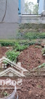 Chính Chủ Bán Đất Kim Sơn Gia Lâm Ngõ 270 Dương Đức Hiền Gần Chợ Keo, 50M,Mặt Tiền4.5M Giá Bán 2.68 Tỷ
