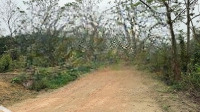 Một Lô Đất Rẻ. Duy Nhất Còn Sót. Đất Tại Thị Trấn Kim Long. Khu Công Nghiệp Tam Dương