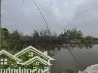 Lô Đất Trục Chính Song Liễu, Gần Phú Mỹ Hưng