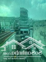 Siêu Phẩm 2 Mặt Tiền Lạc Long Quân, 8 Tầng Thông Sàn - Giá Sock Nặng 15 Tỷ 900Có Thương Lượng(Ngộp Bank)