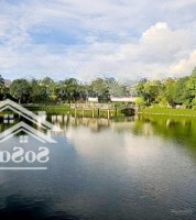 Dành Cho Nhà Đầu Tư - Biệt Thự View Hồ Viglacera Xuân Phương, 225M2*4 Tầng, Vị Trí Quá Đẹp Lại Rẻ